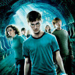 Harry Potter Magnete