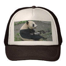 armes à feu du besoin du panda casquettes