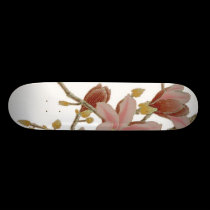 Asiatisches Sommer-Skateboard skateboards