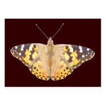 ATC peint de ~ de Madame Butterfly Modèle De Carte De Visite