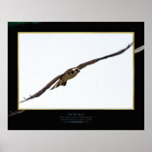 Auf der Jagd Posterdruck