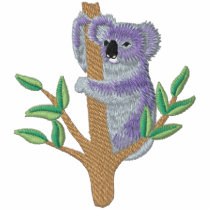 Australischer Koala