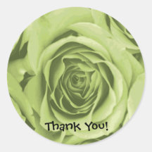 Autocollant de rose vert de chaux de Merci