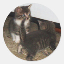 Autocollants ESPIÈGLES de CHATONS