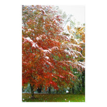 Autumn Winter.JPG Individuelles Druckpapier