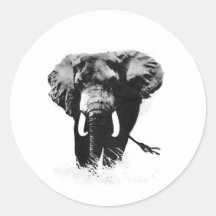 B&W Elefant Aufkleber