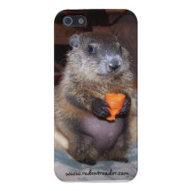 Baby Groundhog Maude iPhone Fall