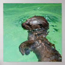 Baby-Otter-Plakat