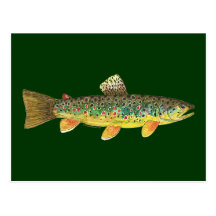 Bachforelle-Fischen Postkarten