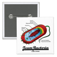 Bactéries d'équipe (Prokaryote) Pin's Avec Agrafe