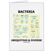 Bactéries omniprésentes et diverses (formes et tai carte de vœux