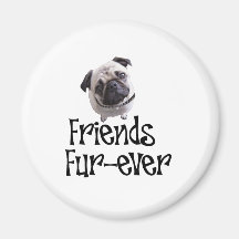 Balais "Fourrure-jamais d'amis " Magnets Pour Réfrigérateur