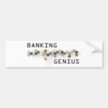 Bankwesen-Genie Autoaufkleber