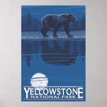 Bär im Mondschein - Yellowstone Nationalpark Poster