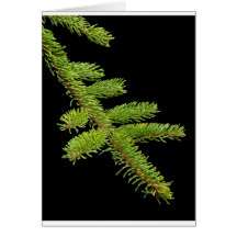 Barnch d'arbre de sapin carte de vœux