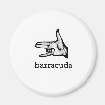 Barracuda Aimant