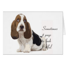 Basset Hound Grußkarten