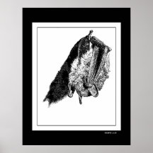Batte accrochante affiches