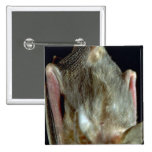 Batte Pin's
