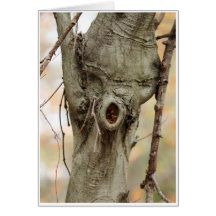 Baum-Fee-Karte