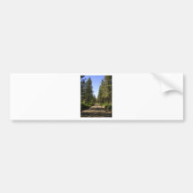 Baum gezeichneter Schotterweg Auto Sticker