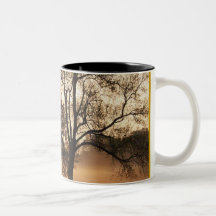 Baum Kaffeetasse