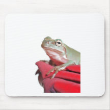 Baumfrosch Mousepads