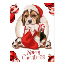 Beagle-Welpen-Weihnachten Postkarten