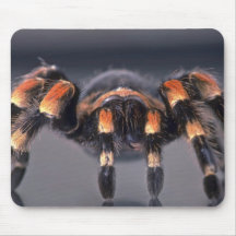 Beängstigende Tarantulaspinne Mousepads