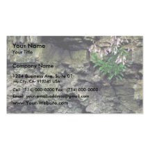 Beardtongue velu cartes de visite professionnelles