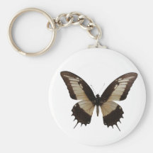 Beau papillon porte-clés