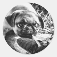 Beaux balais de Playfull Adhésifs