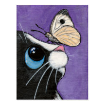 Bébé et le grand blanc - carte postale de chat