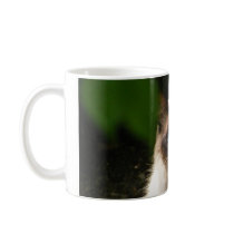 Becher mit schöner Katze