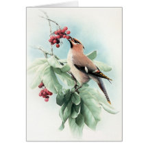 Beeren zum zu essen grußkarten