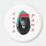 Belgische Schäferhund-Sankt-Tatzen Kühlschrankmagnet