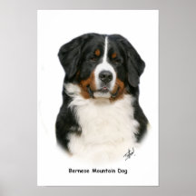 Bernese 9Y348D-094 Plakat