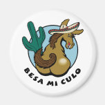 Besa MI Culo Magnets Pour Réfrigérateur