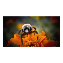 Beschäftigte Bienen-Druck-Geschenk