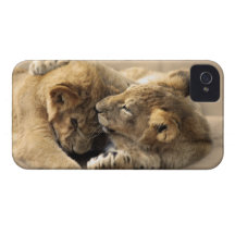 Beste Freunde für immer iPhone 4 Case-Mate Hülle