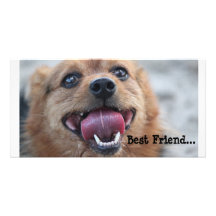 Bester Freund Bild Karte