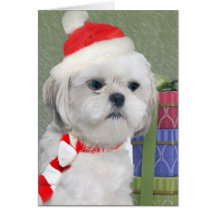 Bichon Weihnachtsgeschenkkarten