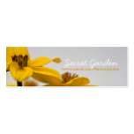 Bidens Cartes De Visite Professionnelles