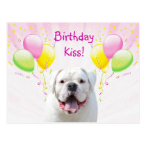 Birthday Kiss postkarten