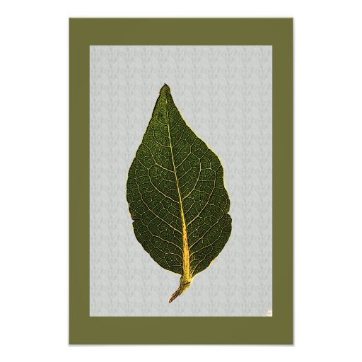 Blatt-Foto