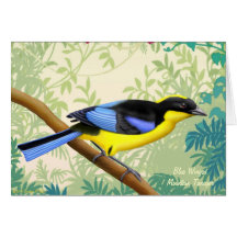 Blau Winged Gebirgstanager-Vogel-Karte