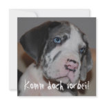 Blaue Augen Doggenwelpe einladungen