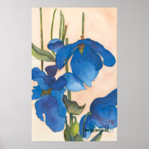 Blaue Mohnblumen-Druck Poster