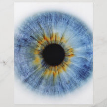 Blauer Augapfel Vollfarbige Flyer