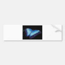 BLAUER MORPHO Schmetterling Auto Aufkleber